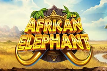 African Elephant