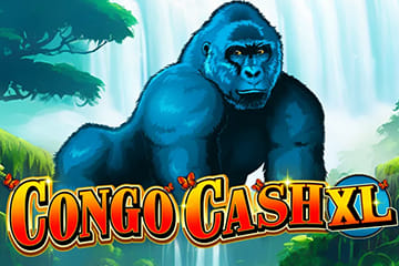 Congo Cash XL