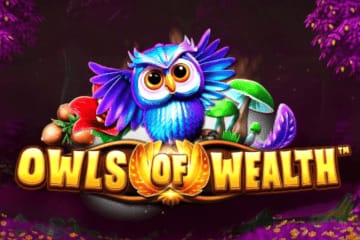 Owls of Wealth