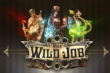 The Wild Job - Synot