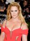 Amy Schumer Reveals She Has Lyme Disease: 'I Have Maybe Had It for Years'
