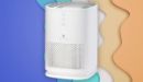 Shoppers can't get enough of this $99 high-tech air purifier: 'I can breathe again'