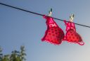 These are the 8 most supportive bras, according to experts