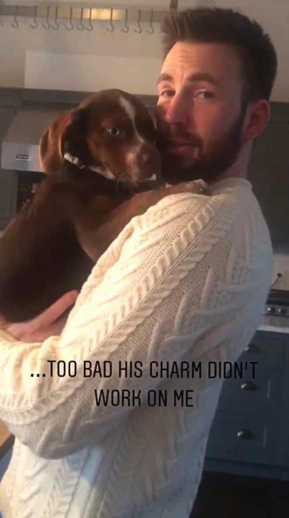 Chris Evans cuddling Aly Raisman's dog Mylo.