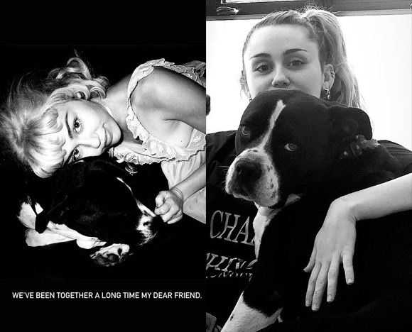 Miley Cyrus dog mary jane death