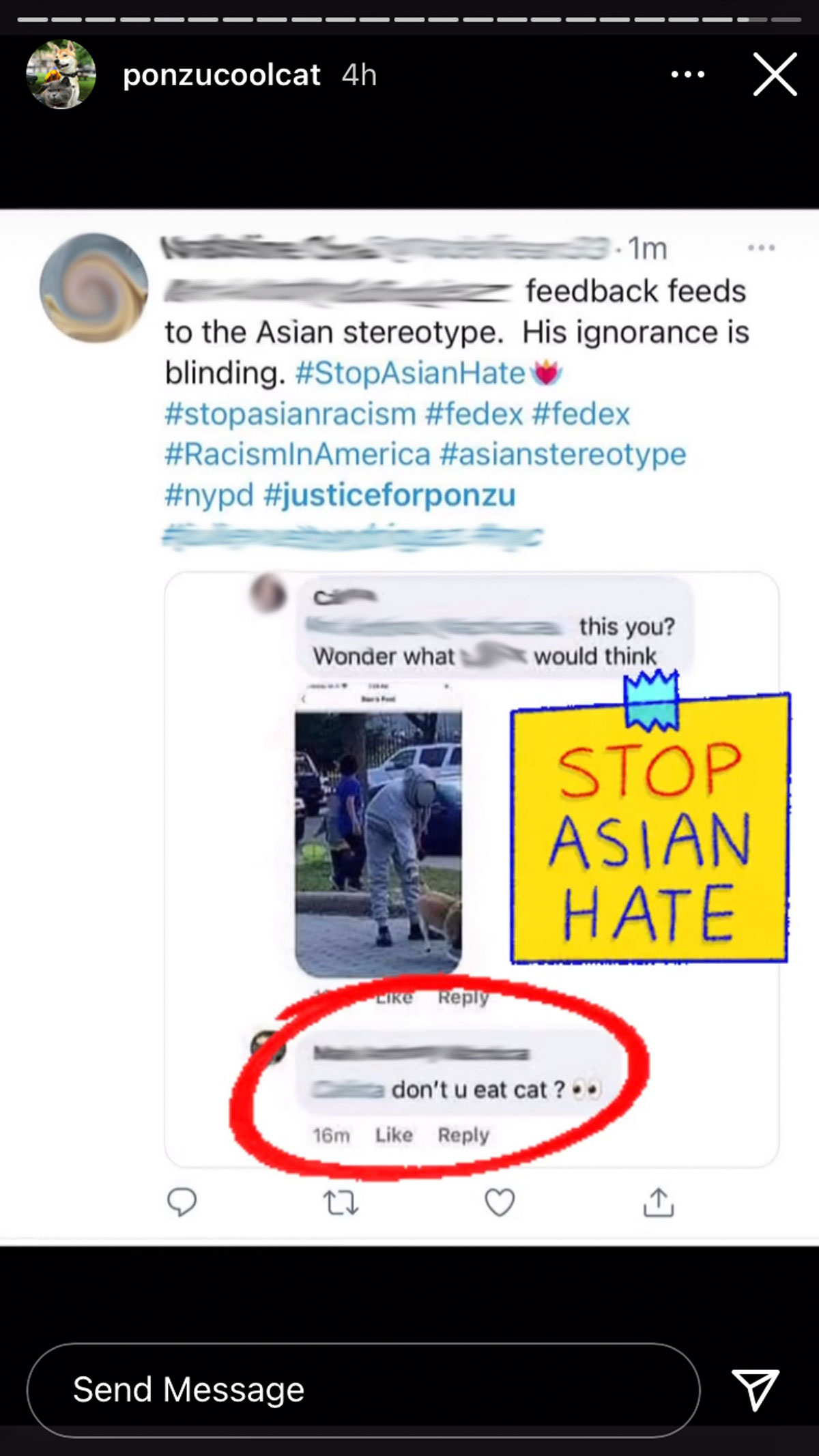 Ponzu Cool Cat's owners reveal disturbing anti-Asian hate messages on social media reportedly from attacker family!