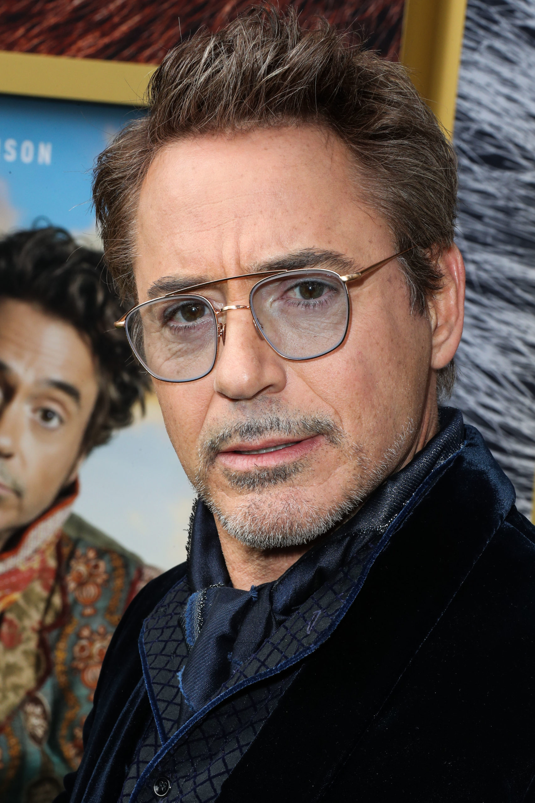 Robert Downey Jr. Was Arrested And Later Pardoned