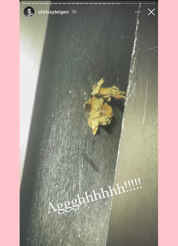 chrissy teigen : hamster's nose appears through hole instagram story