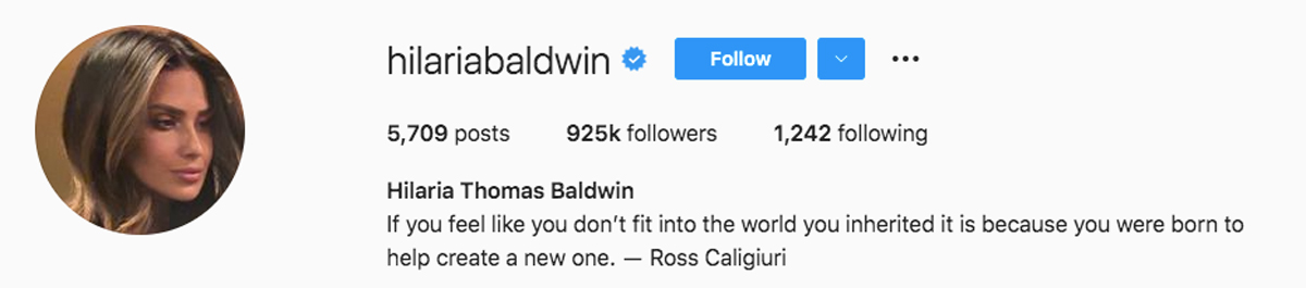 Hilaria Baldwin Removes Mom Brain Podcast From IG Bio